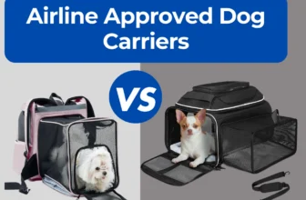Airline Approved Dog Carriers