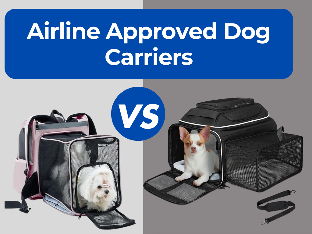 Airline Approved Dog Carriers