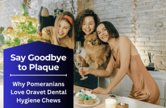 Why Pomeranians Love Oravet Dental Hygiene Chews