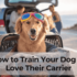 How to Prepare Your Dog for a Long Road Trip