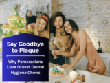 Say Goodbye to Plaque: Why Pomeranians Love Oravet Dental Hygiene Chews